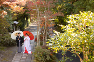 11月の弐点プラン～妙本寺＆海蔵寺～