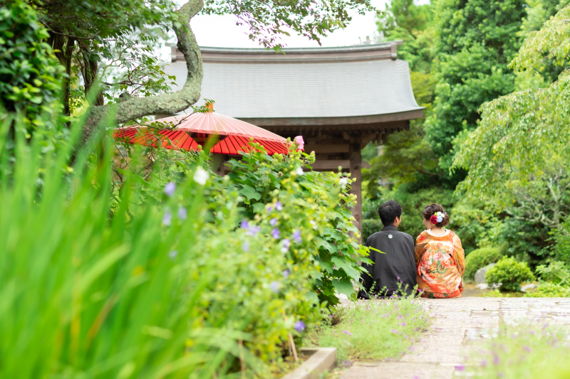 人気のあるショット
