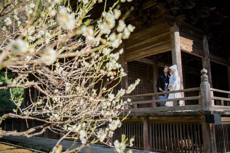 歴史あるお寺での撮影