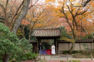 １２月の弐点プラン～妙本寺＆瑞泉寺～