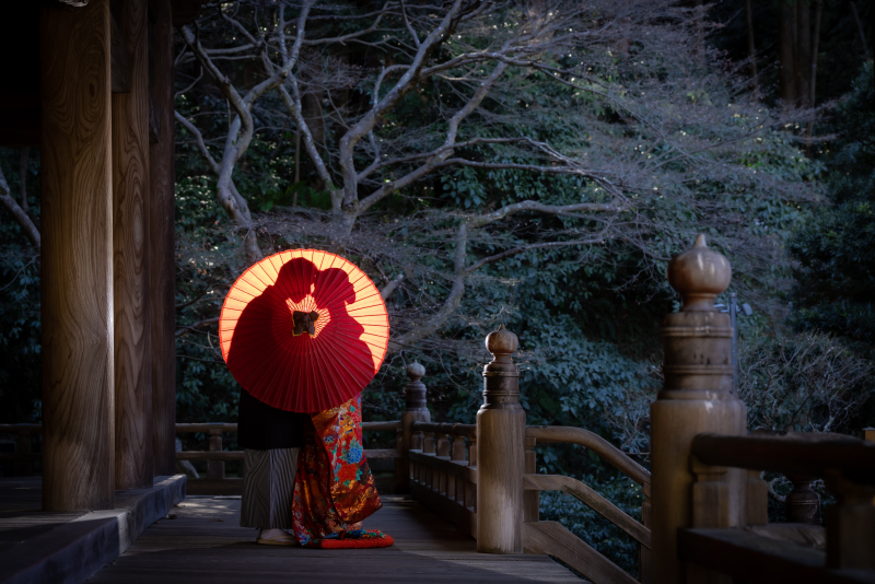 影絵のような、シルエットショット。