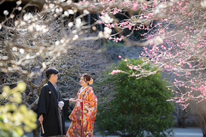 境内には梅の木が沢山あります