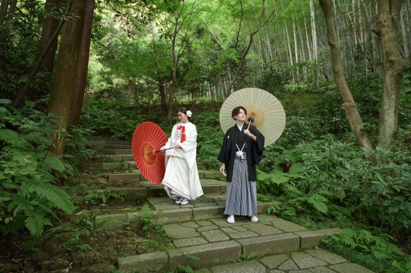 青々とした竹林を背景に。