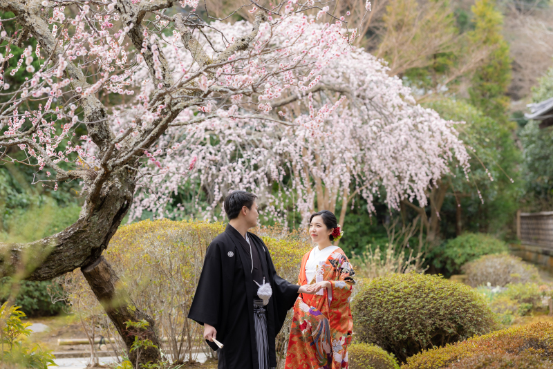 枝垂れ梅が見事!