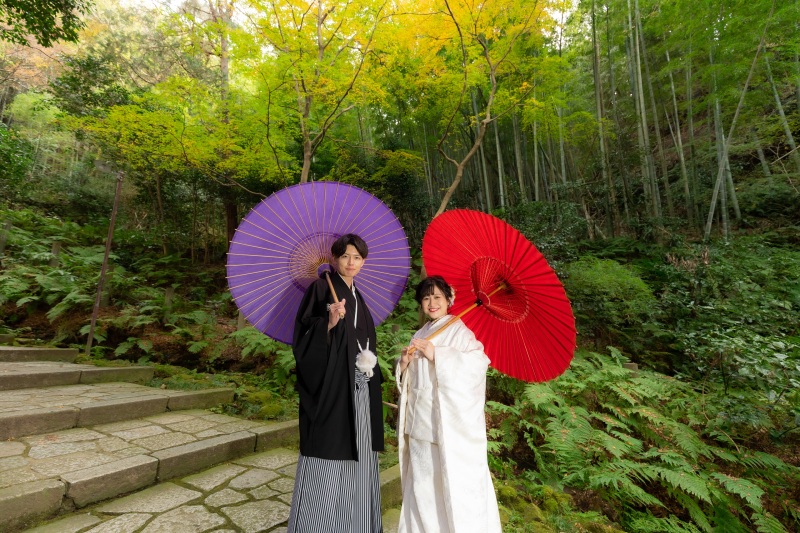 青々とした竹林もありますよ。