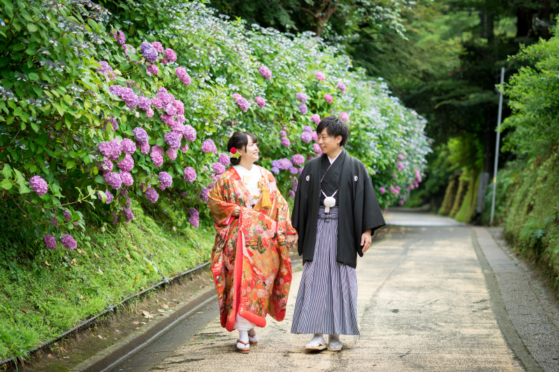 紫陽花の時期の撮影。地元の人しか知らない紫陽花が咲き誇る小道で撮影