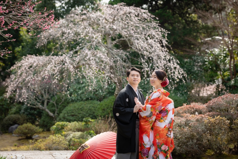 梅が咲く時期の撮影