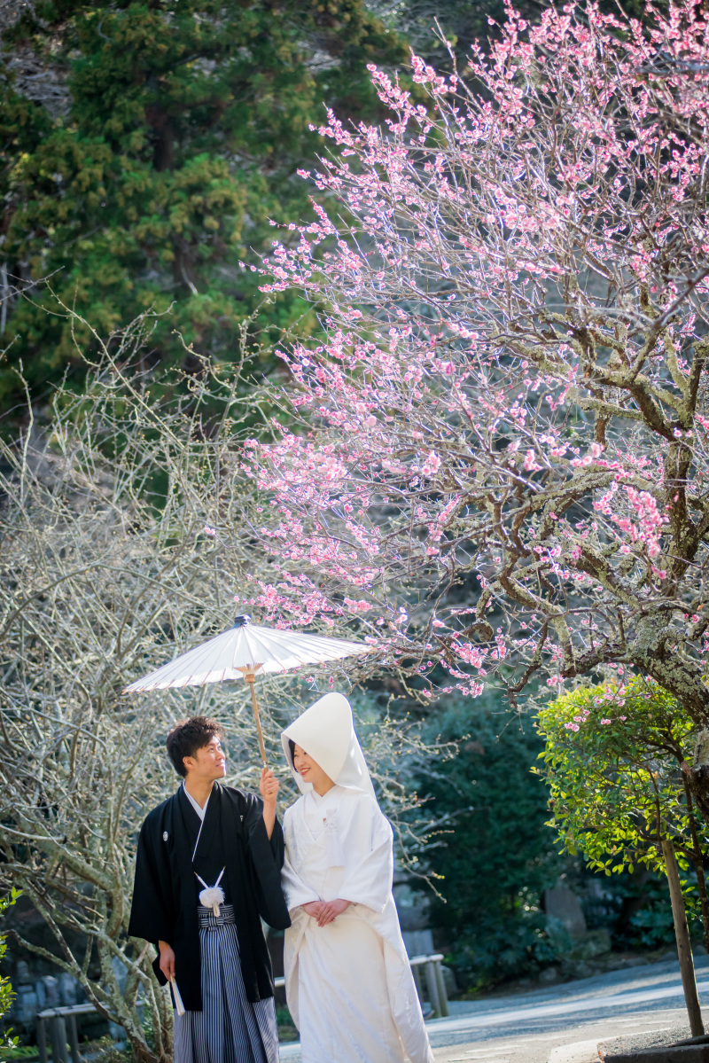 境内には紅梅・白梅が咲きます