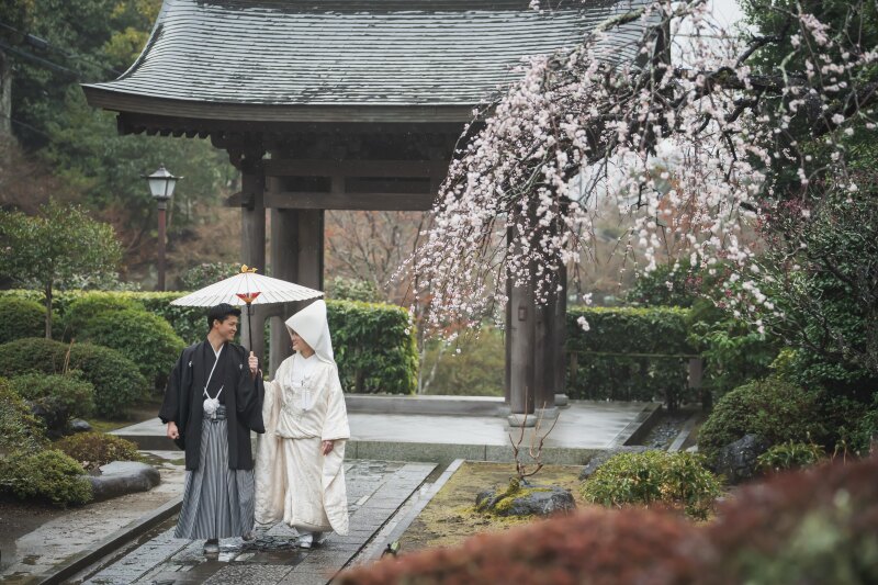 《 枝垂れ梅 》