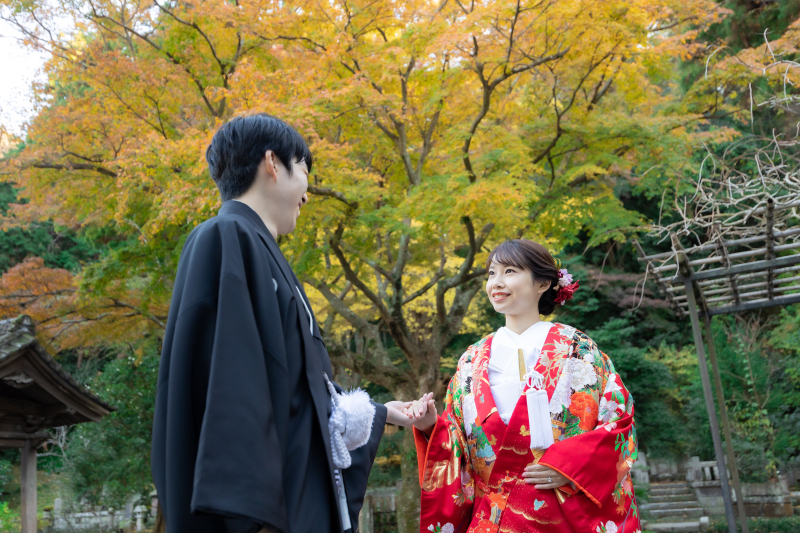 12月の壱点プラン~妙本寺~