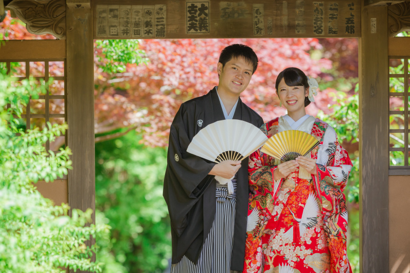 春に赤く色づくもみじ