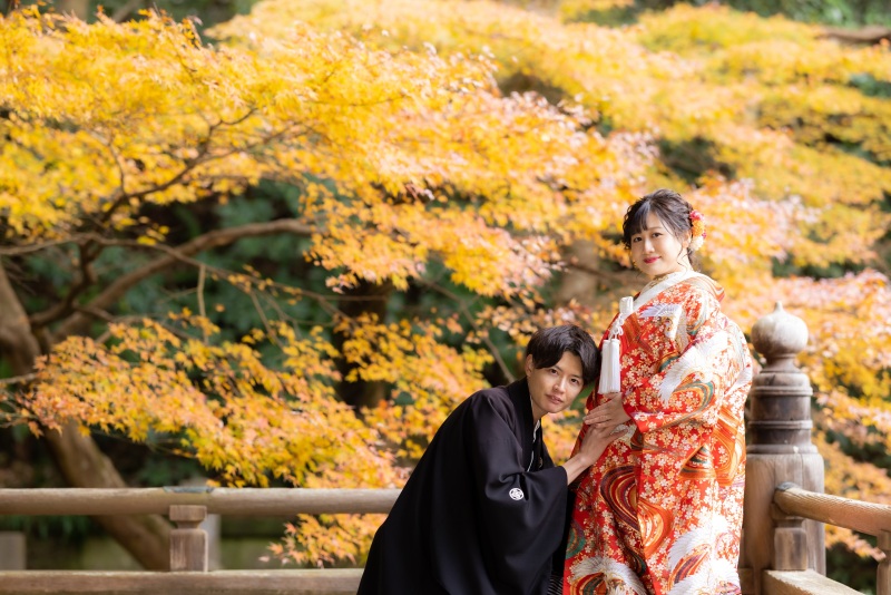 回廊からも見事な色づきを楽しむことができました。