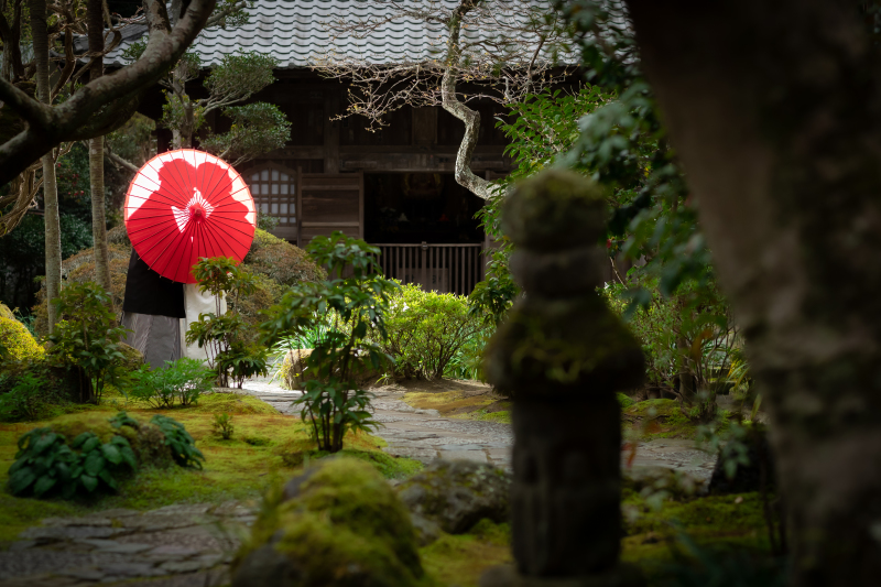 番傘を使用しての撮影