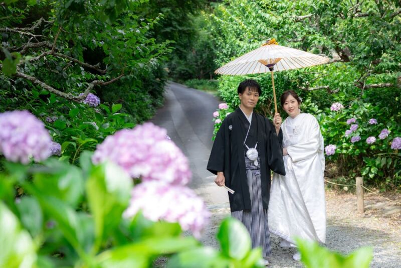 お庭にはたくさんのお花たち