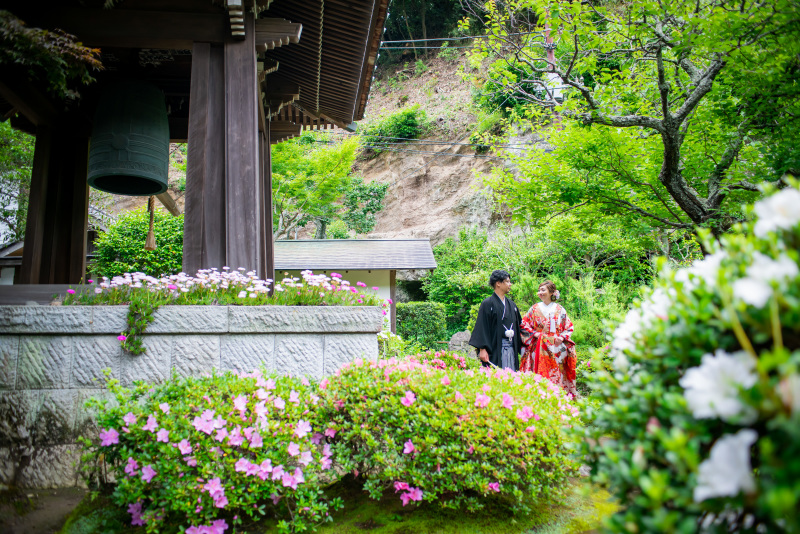 『鎌倉、花のお寺』といわれている寺院の境内で撮影