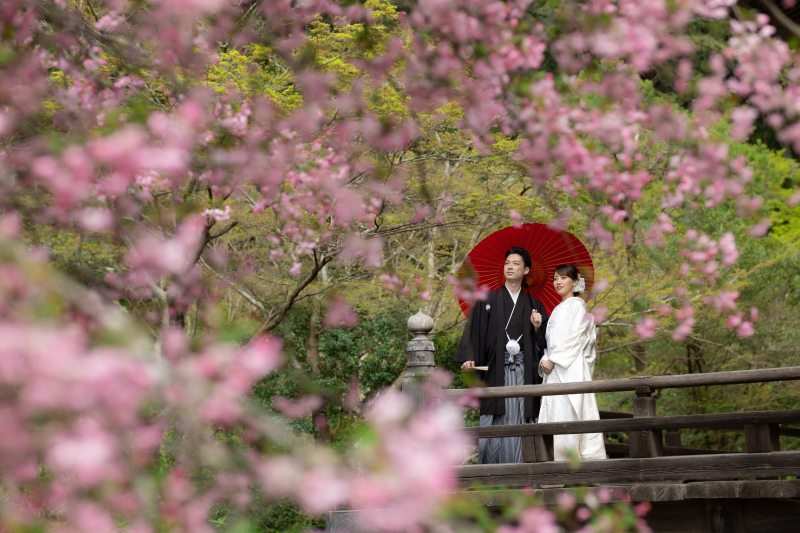 まさに花盛り❀