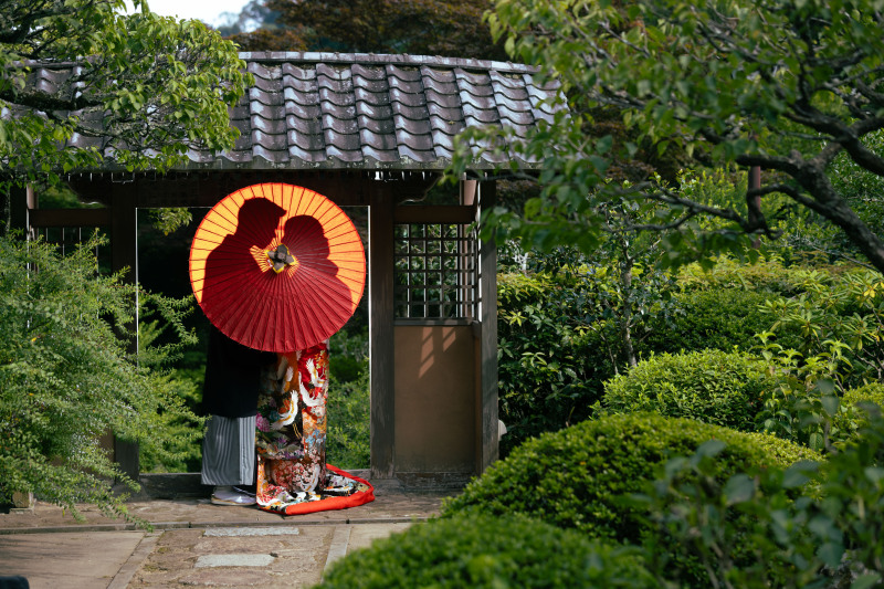 《 シルエットショット 》