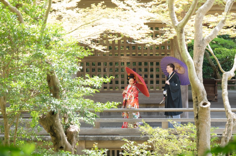 若葉も美しい季節です。