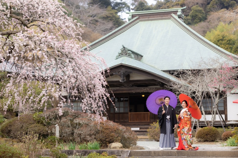 海蔵寺の境内はまさに“春色”でした。