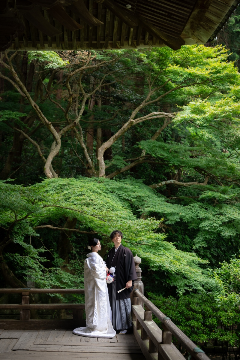 緑が多い寺院