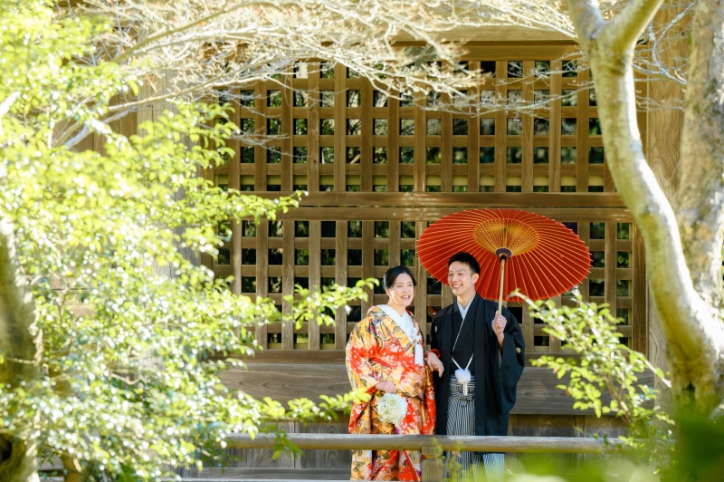 冬でも緑があります♪