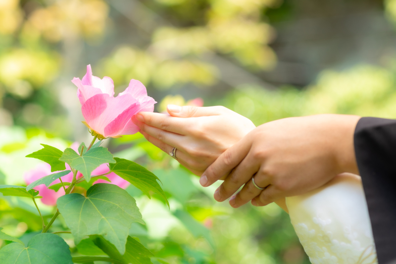 季節のお花×お手元ショットで指輪見せ❁