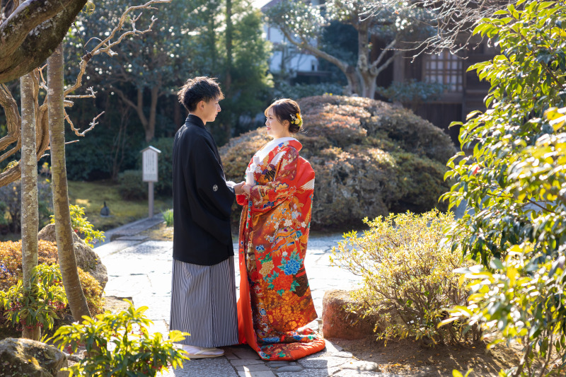 冬も緑が多いのです。