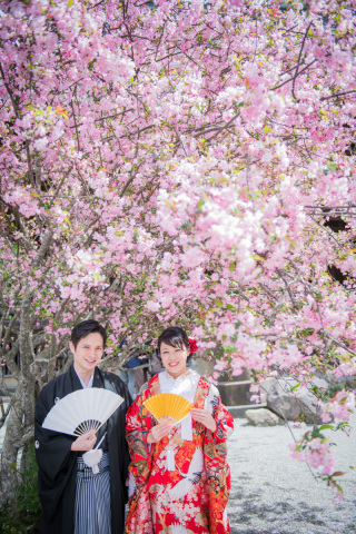 ロケーション弐点プラン　桜と海棠の花が綺麗な時期の撮影