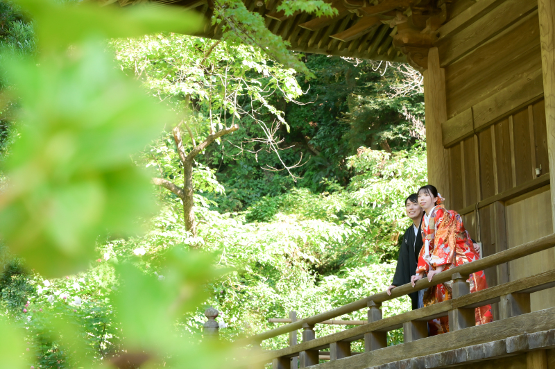 仲良くお庭を眺めるお二人を、遠目から。