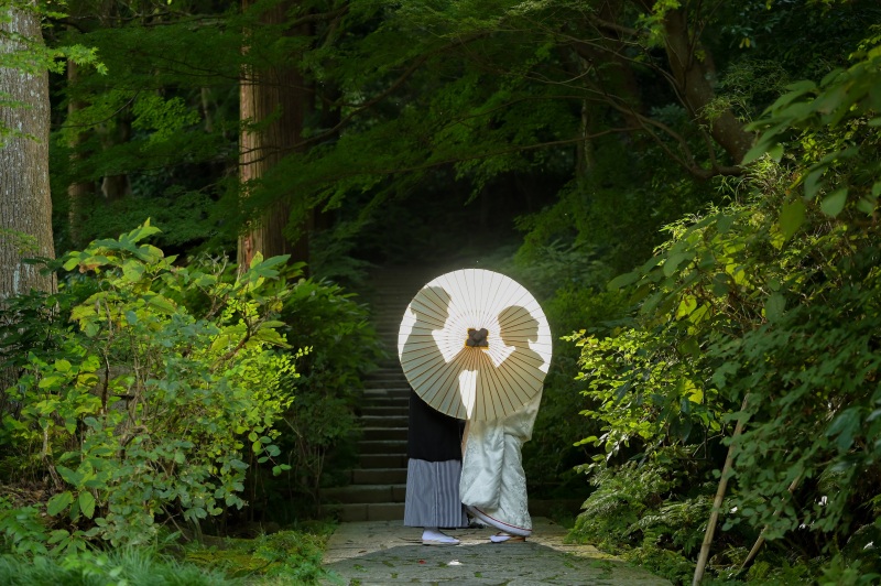 シルエットショット。