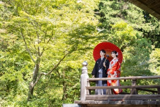 10月の弐点プラン～妙本寺～