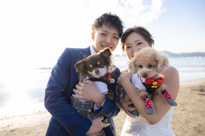 愛犬たちのおめかしにもご注目♪