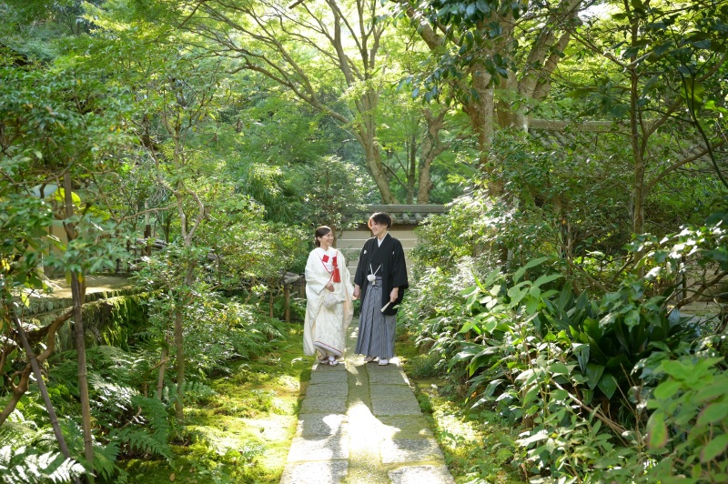 木漏れ日の中をお散歩。