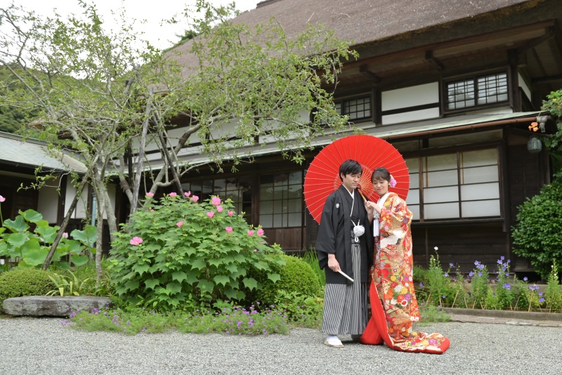 ピンク色の芙蓉の花が咲き始めていました。