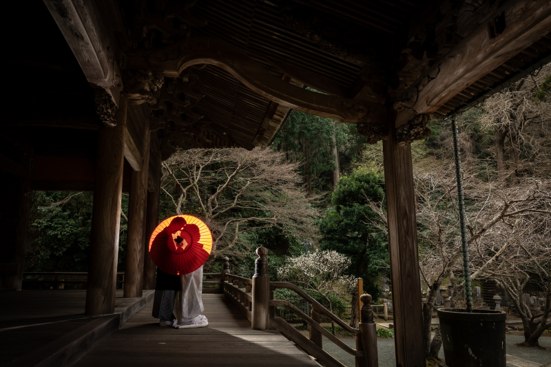 回廊でのシルエットショット。