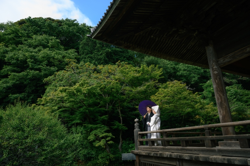 緑がきれいです