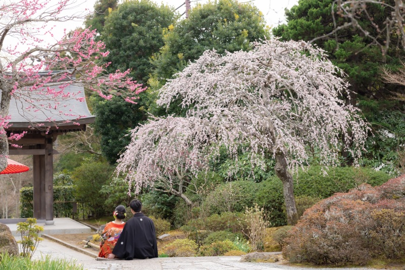 3月の弐点プラン~海蔵寺&妙本寺~