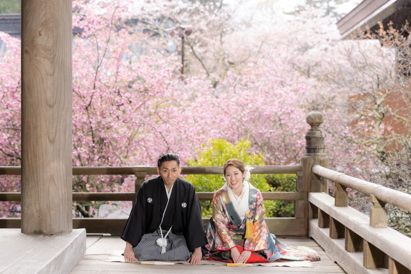 4月の和洋弐点プラン~妙本寺&スタジオ~