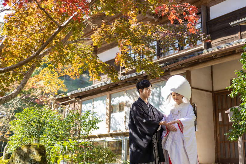 ご撮影終盤では綿帽子をお召しになりました。