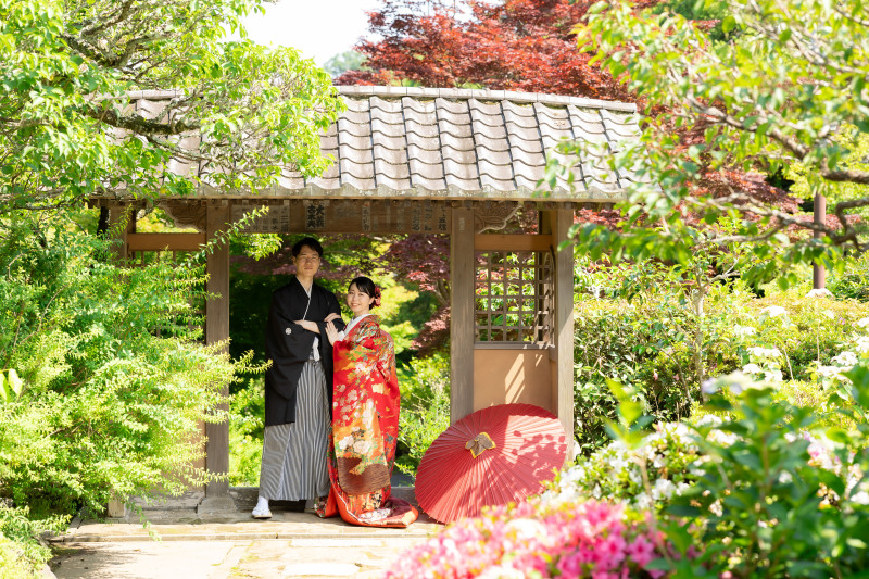 6月の和装弐点プラン　～海蔵寺＆妙本寺～
