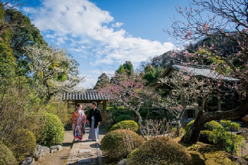冬の青空は綺麗です