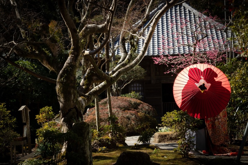 人気ショット！！