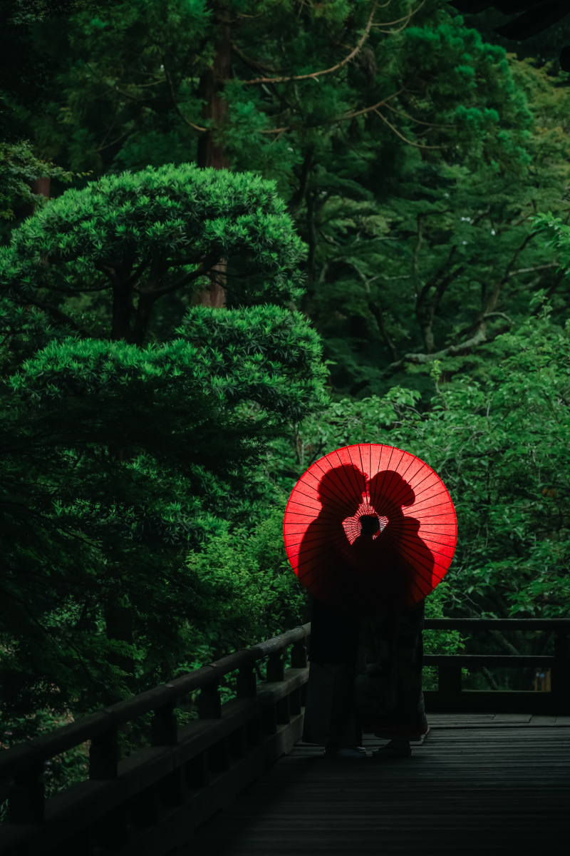 シルエットでの1枚