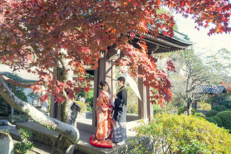 【紅葉】12月の弐点プラン～妙本寺＆海蔵寺～