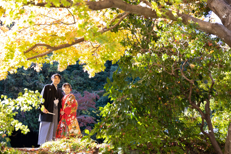 緑の葉も残っており、様々な色合いを楽しめました。