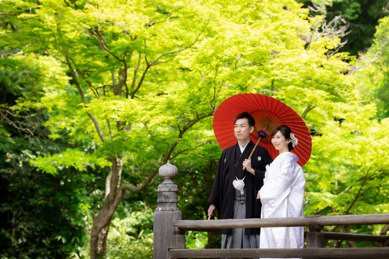 番傘の赤色が新緑に映えます。