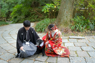 華雅苑　鎌倉店