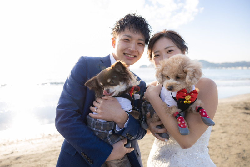 浜辺で愛犬と楽しい時間を