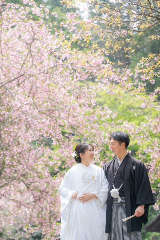 華雅苑　鎌倉店_『陽春/桜や海棠』3月下旬～4月上旬