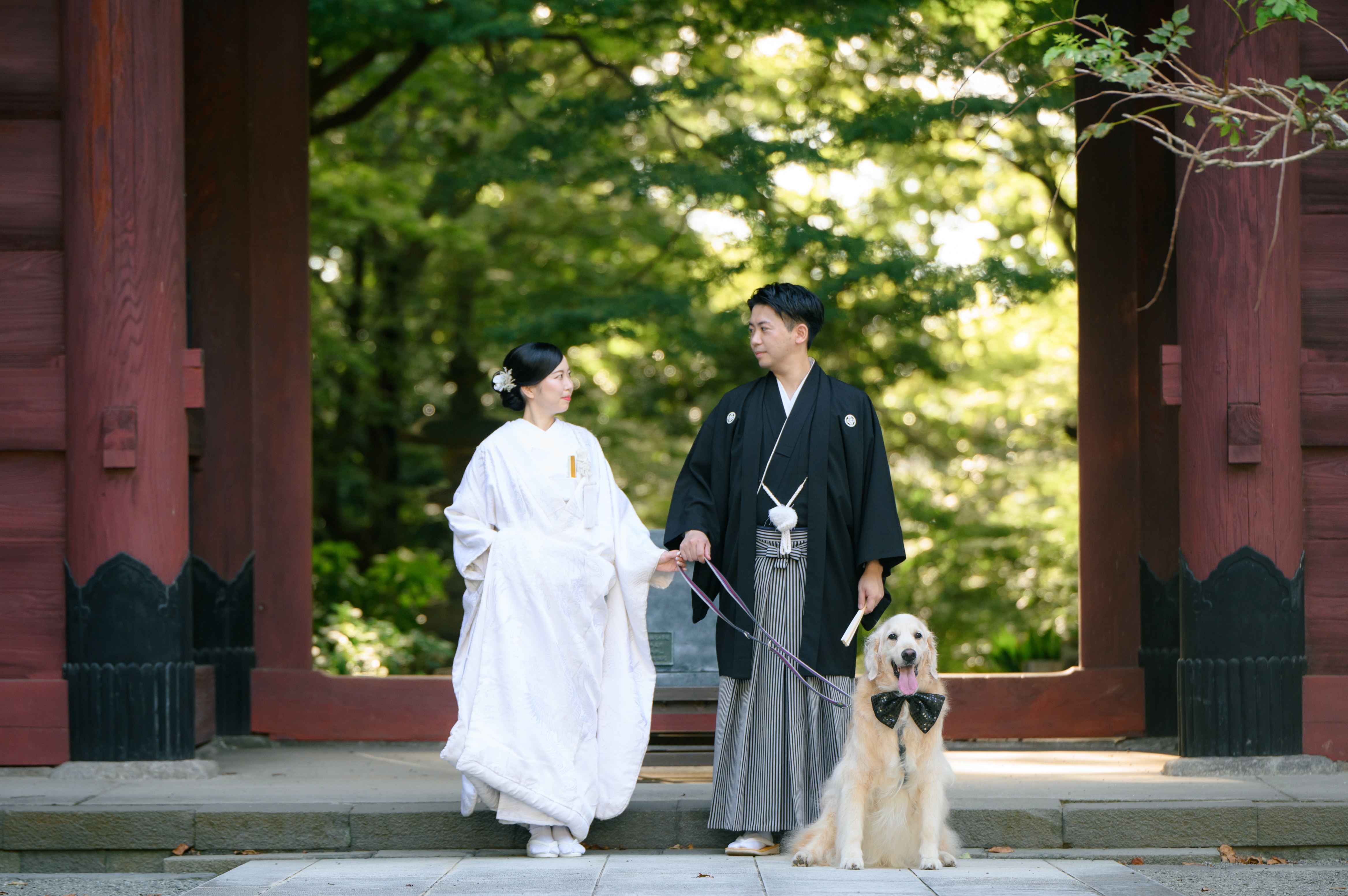 Point1 多彩な撮影シーン